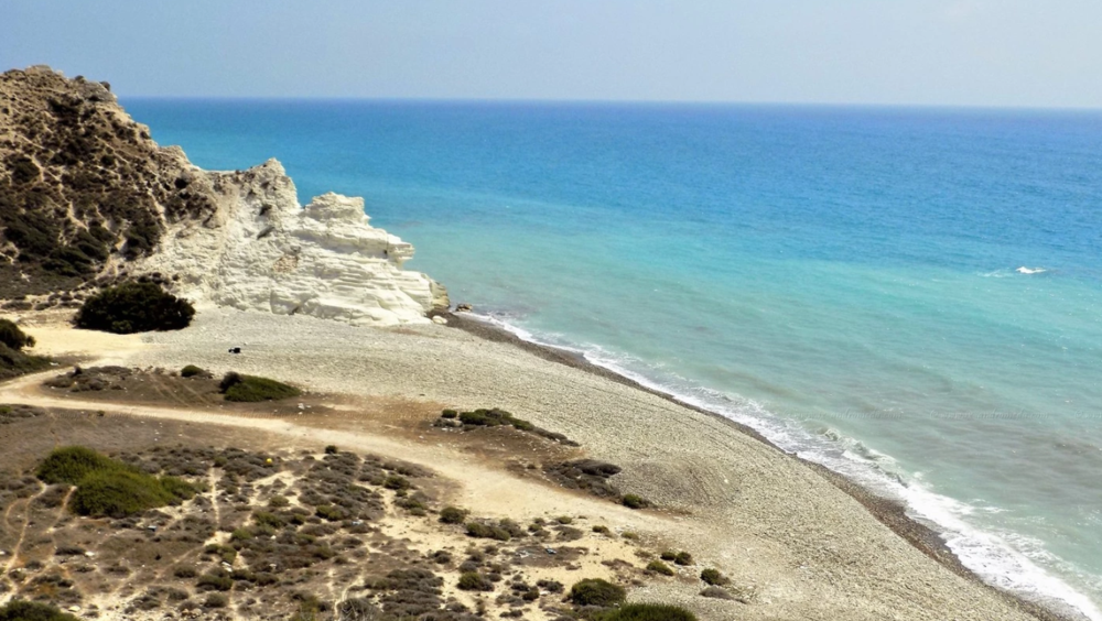 Prolimnos Dog Beach - Τουριστικός Οδηγός - Πισσούρι, Κύπρος